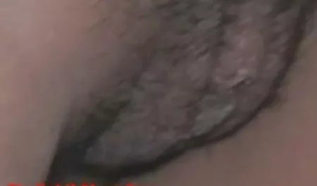 ساندویچ صد داستان سکیی Maeva Exel