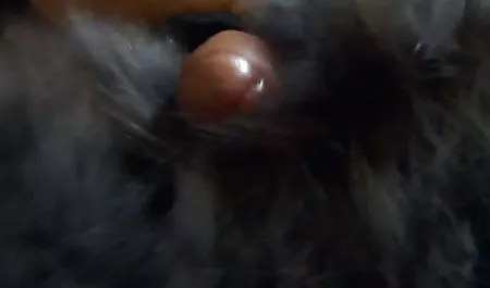 جوجه از پشت باند شد سکس صد و بعد پای کرم گرفت