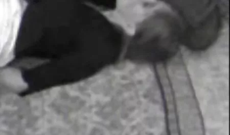زوج روسی 5 داستان سكس خانوادگى