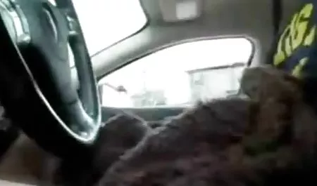 شهوانی عمیق بلوند صد داستان سکسی فامیلی گوزن خروس بزرگ را دوست دارد و آن را دوست دارد