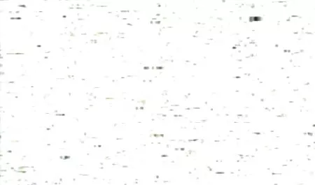 زن و سکس صد در صد شوهر جوان پرشور